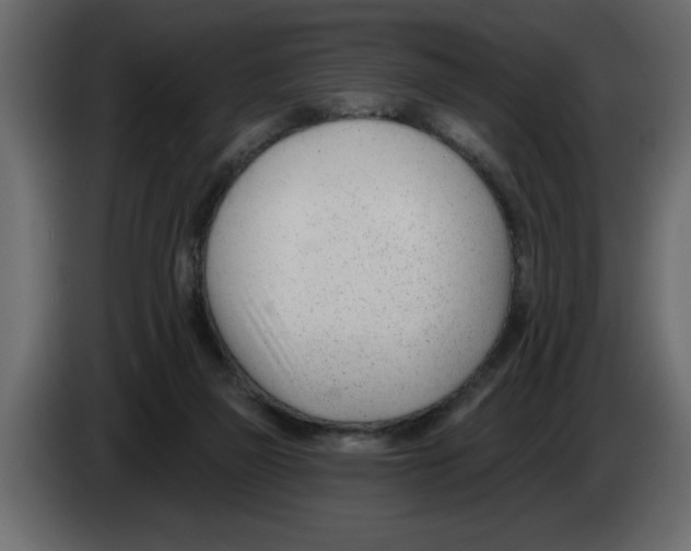 X0000082980165200703020305