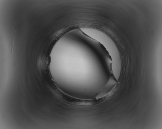 X0000082980168200703020305