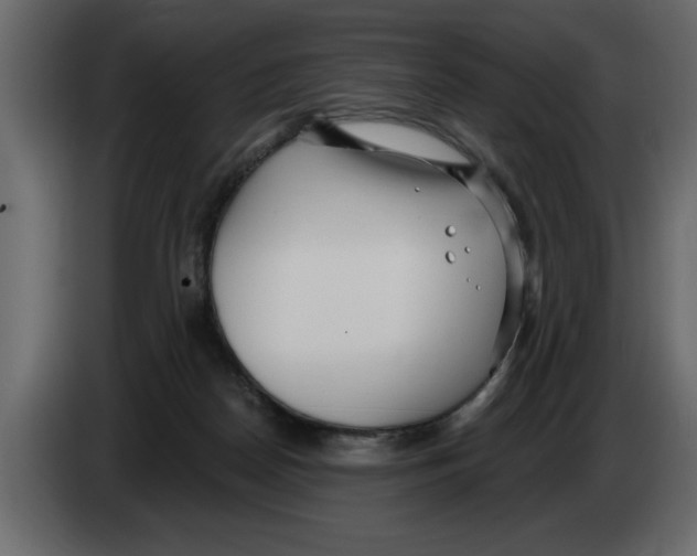 X0000082980170200703020305