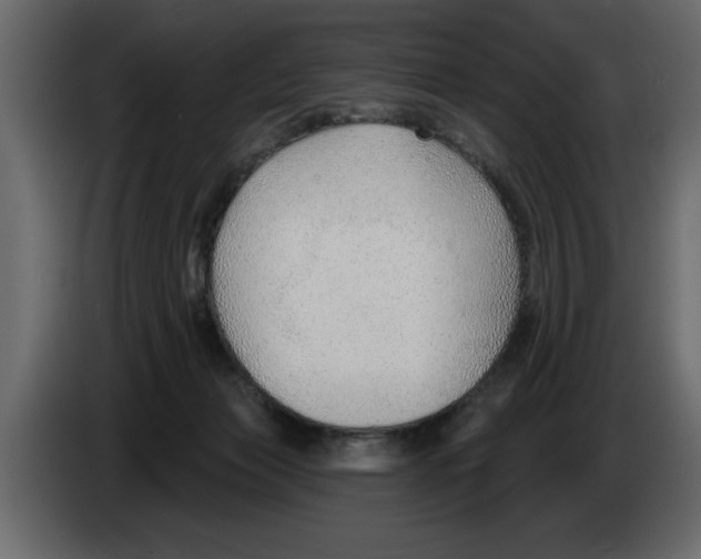 X0000082980173200703020305