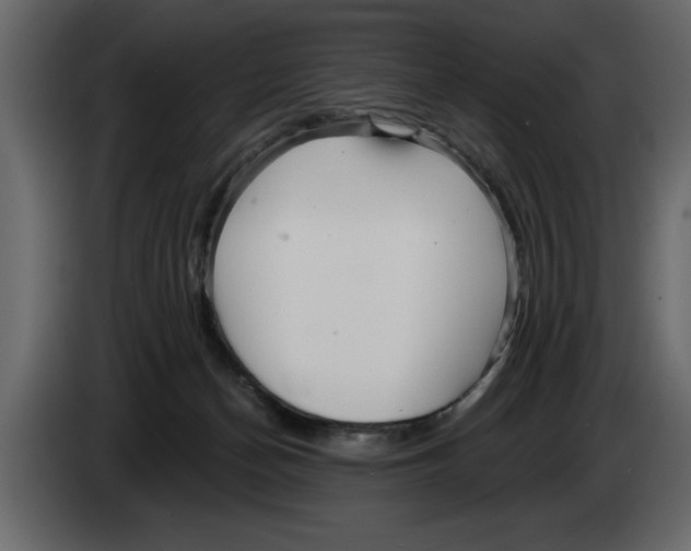 X0000082980174200703020305