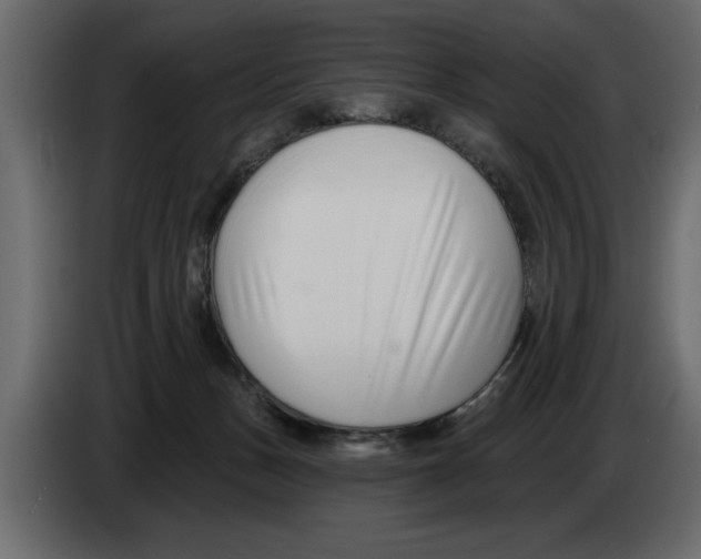 X0000082980175200703020305