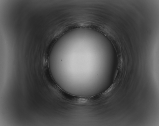 X0000082980176200703020305