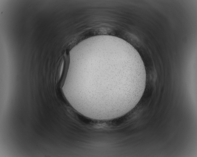 X0000082980177200703020305