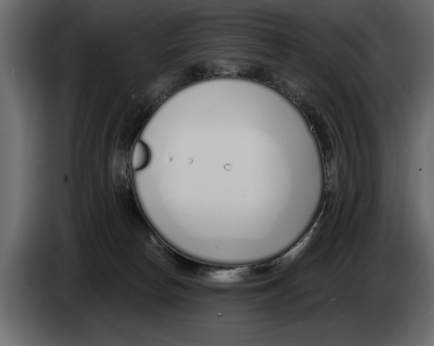 X0000082980178200703020305