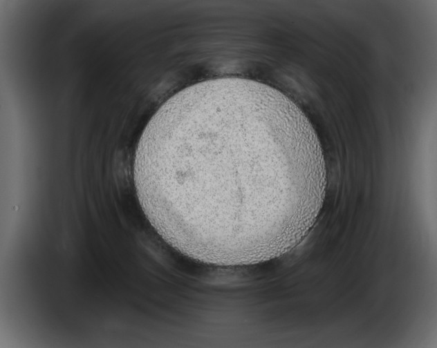 X0000082980179200703020305