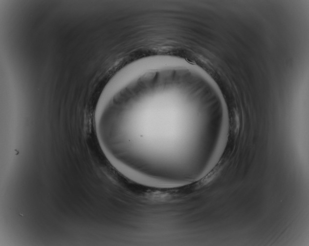 X0000082980180200703020305