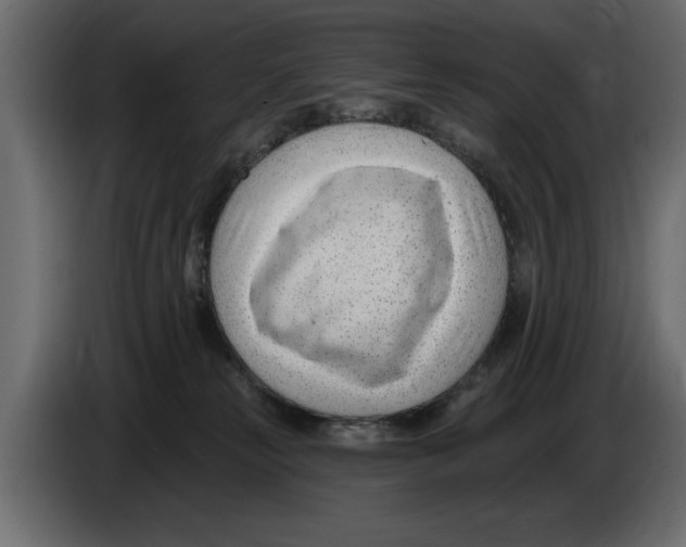 X0000082980181200703020305