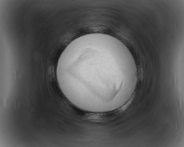 X0000082980182200703020305