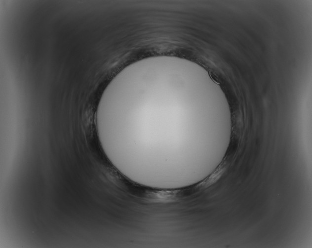 X0000082980184200703020305