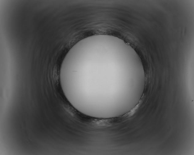 X0000082980186200703020305