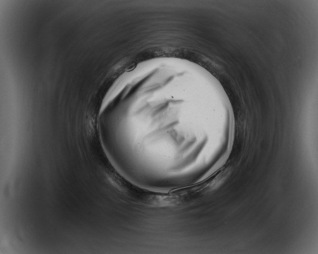 X0000082980188200703020305
