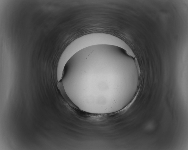 X0000082980190200703020305