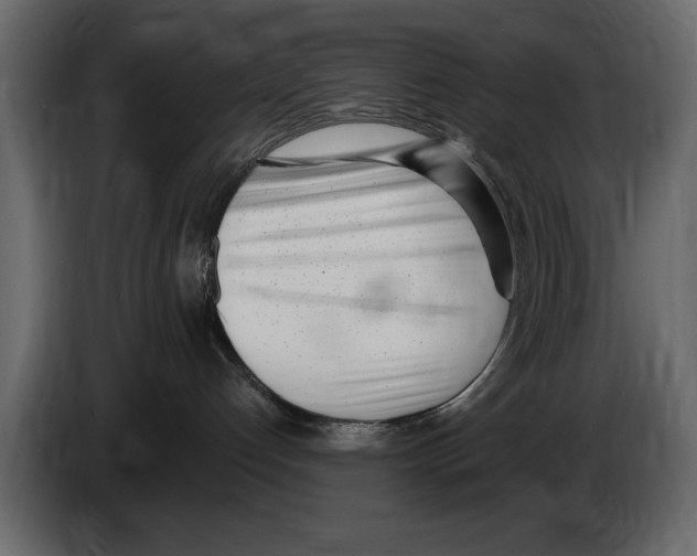 X0000082980192200703020305