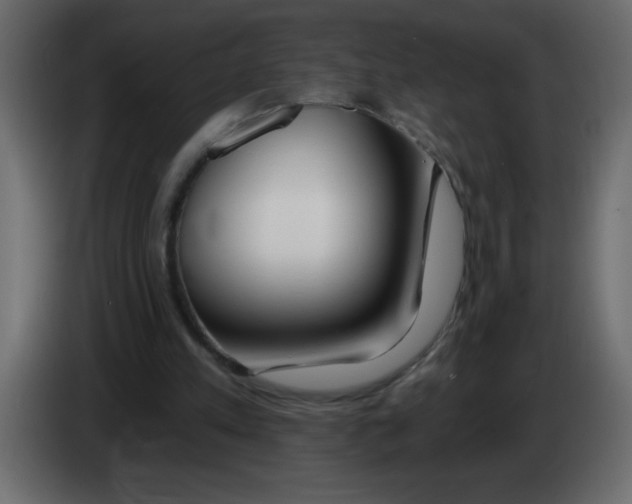 X0000082980197200703020304
