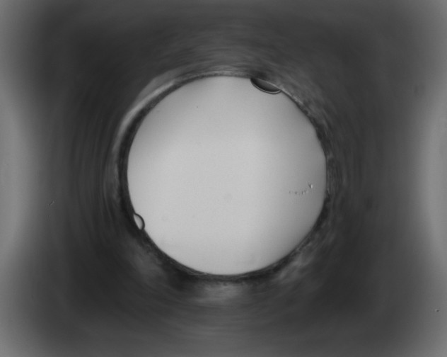 X0000082980198200703020304