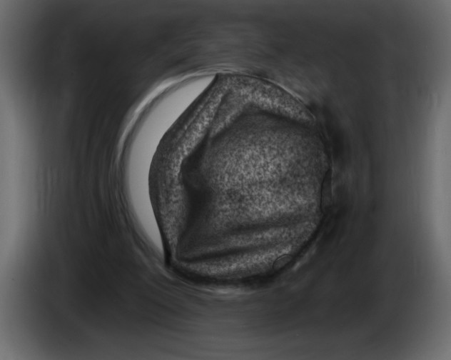 X0000082980200200703020304