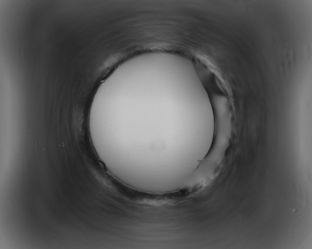 X0000082980201200703020304