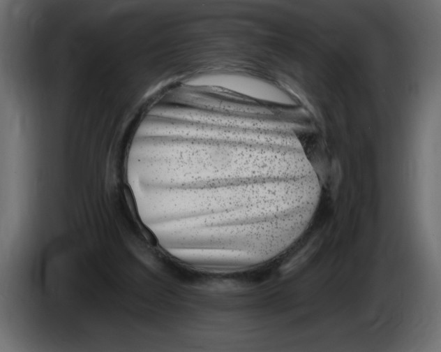 X0000082980203200703020304
