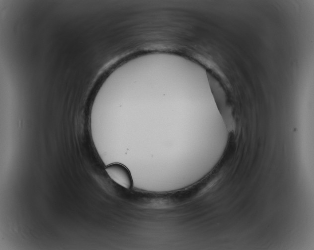 X0000082980204200703020304