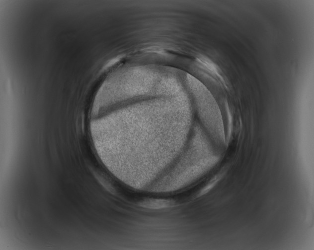 X0000082980205200703020304