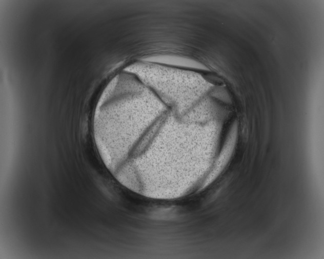 X0000082980206200703020304