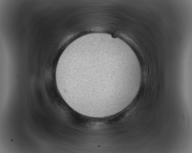 X0000082980208200703020304