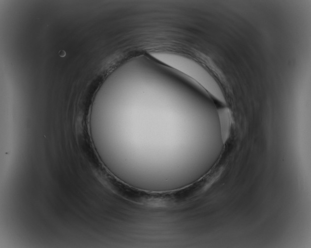 X0000082980209200703020304