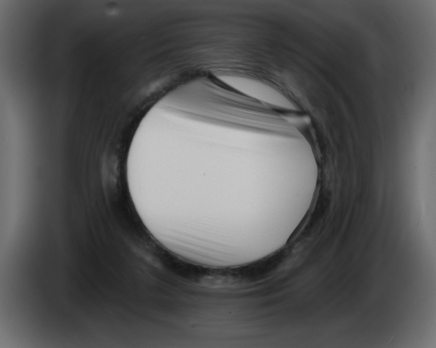 X0000082980211200703020304