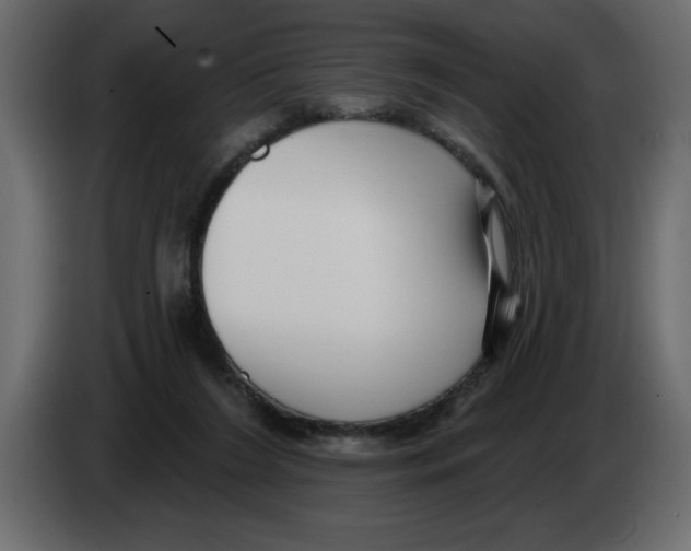 X0000082980212200703020304