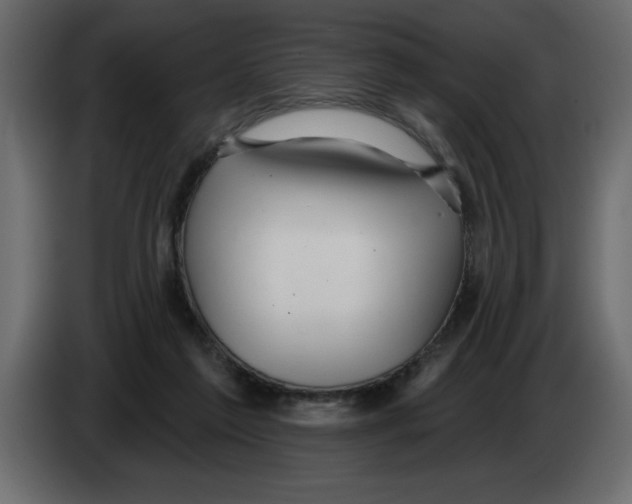 X0000082980213200703020304