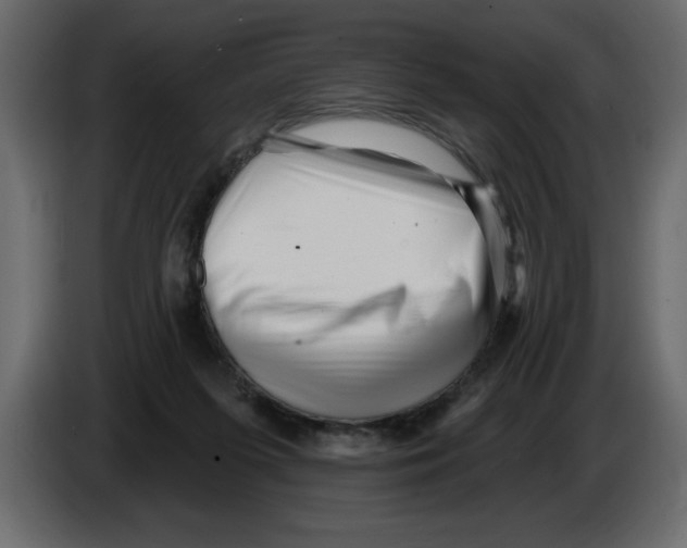 X0000082980215200703020304