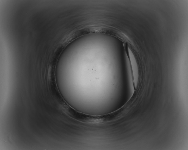X0000082980217200703020304