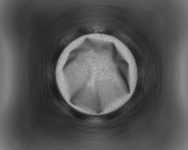 X0000082980218200703020304