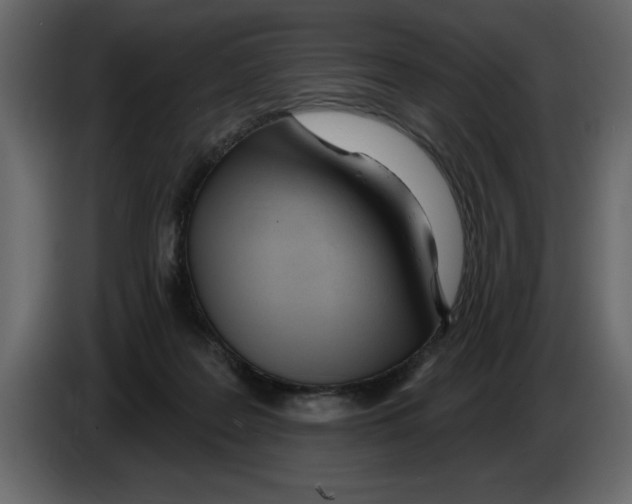 X0000082980219200703020304