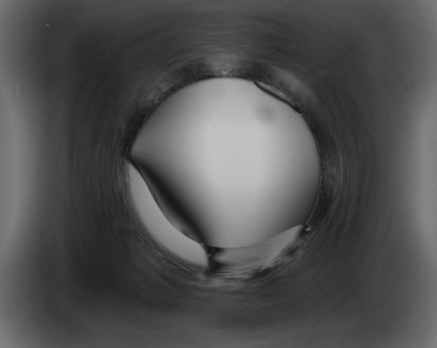 X0000082980221200703020304