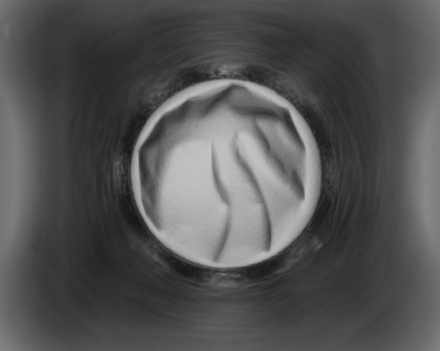 X0000082980222200703020304