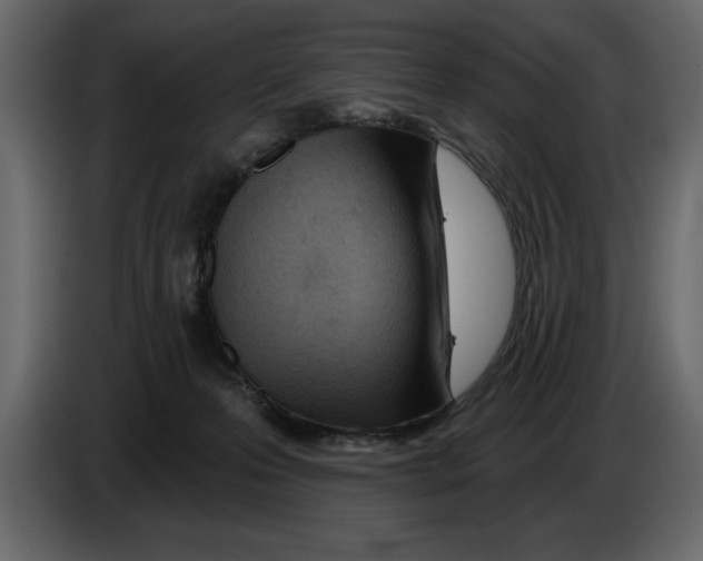 X0000082980223200703020304