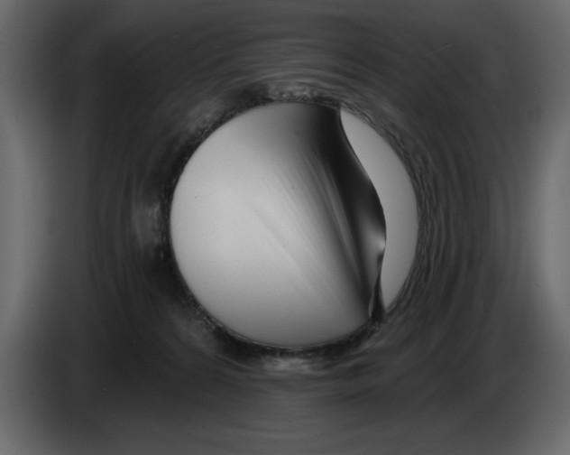 X0000082980224200703020304