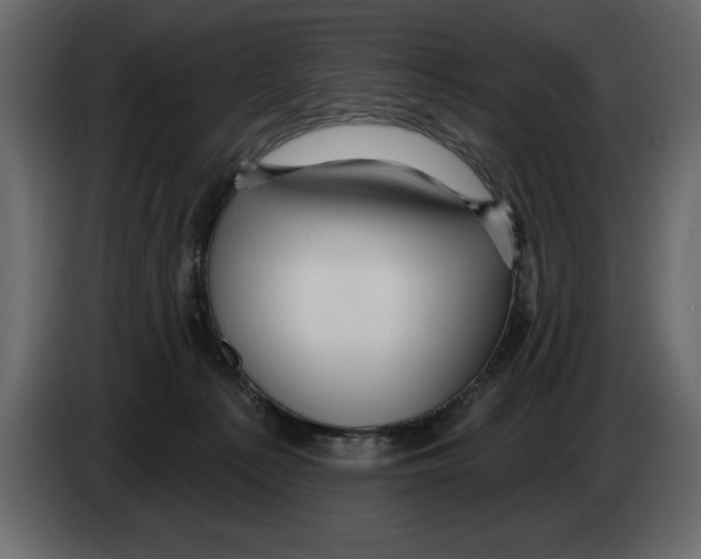 X0000082980225200703020304