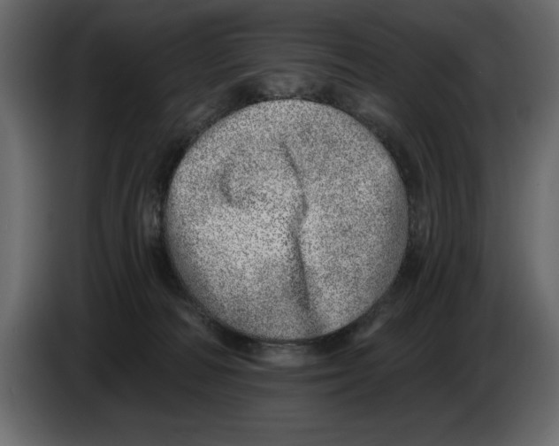 X0000082980226200703020304