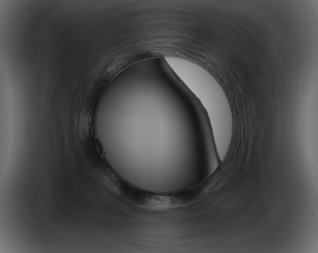 X0000082980227200703020304