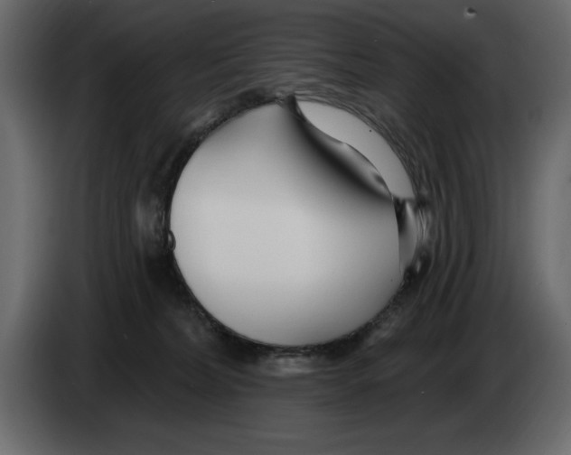 X0000082980228200703020304