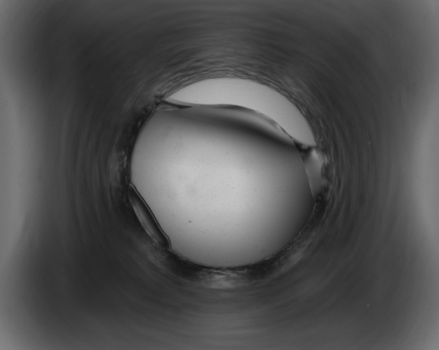 X0000082980229200703020304