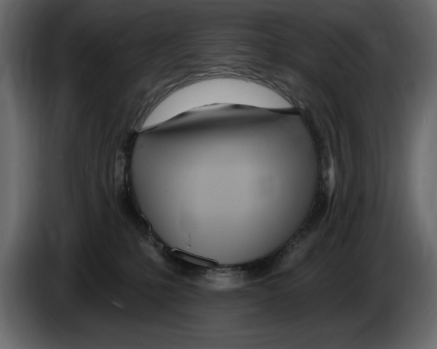 X0000082980231200703020304