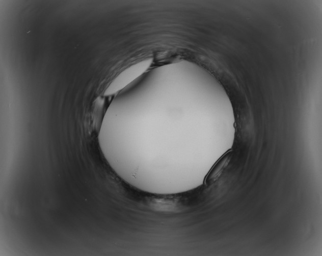 X0000082980232200703020304