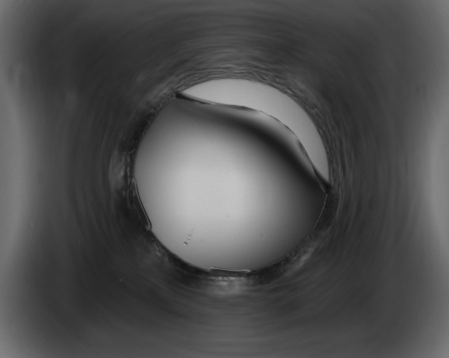 X0000082980233200703020304