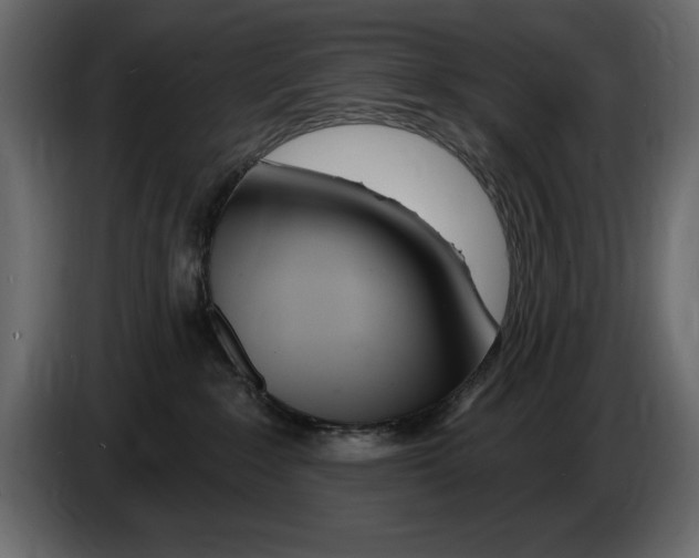 X0000082980235200703020304