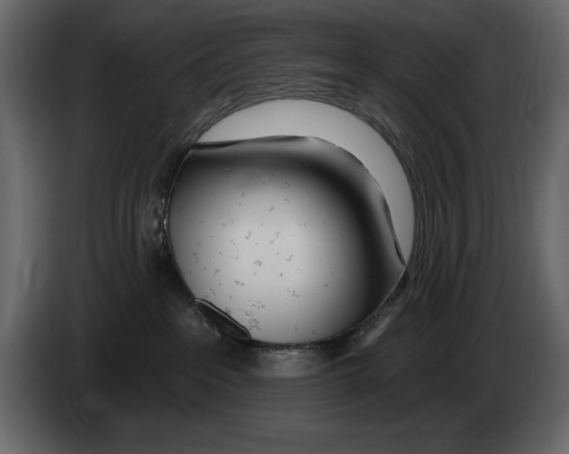 X0000082980237200703020304
