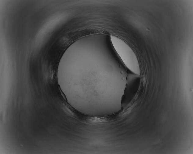 X0000082980239200703020304